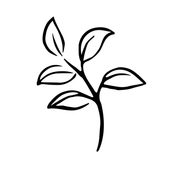 Plante Croissance Germe Avec Icône Feuilles Illustration Vectorielle Art Dessinée — Image vectorielle