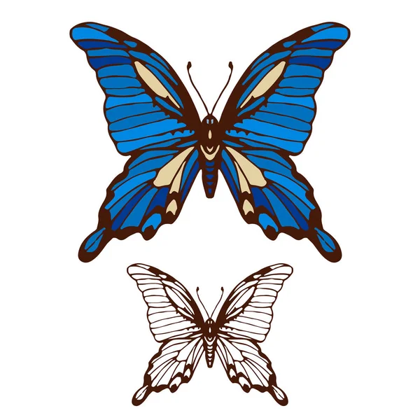 Papillon Coloré Ligne Art Mis Isolé Sur Fond Blanc Illustration — Image vectorielle