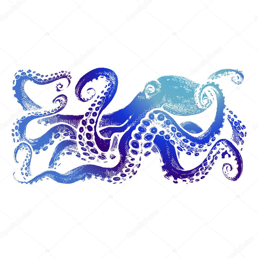 Blue Octopus with tentacles. Watercolor illustration with splashes on white background. Tattoo sketch