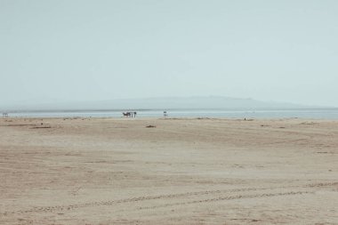 Sarı çöl kumları ve deniz altyapısı.
