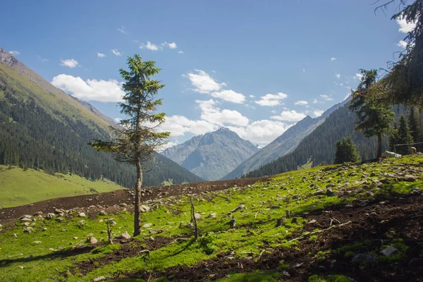 Schöne Berglandschaft Schöne Landschaft Mit Blauem Himmel Bäumen Und Grünen — Stockfoto