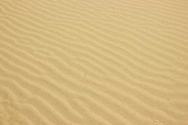 Yellow Desert Sand Texture Dune Waves Background — Stock Photo, Image