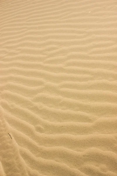 Sarı Çöl Kum Dokusu Dalga Arkaplanı Olan Kum Tepesi — Stok fotoğraf