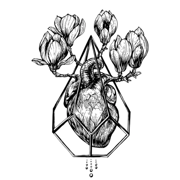 Καρδιά Παγιδευμένη Φυτευτήρι Σκούρα Μανόλια Και Άνθη Σχέδιο Μελανιού Ζωγραφισμένο — Διανυσματικό Αρχείο