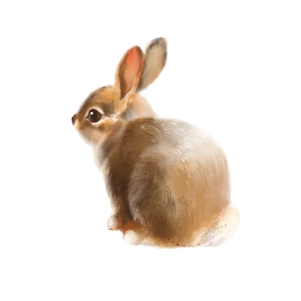 Söt Akvarell Kanin Liten Bedårande Baby Kanin Vit Bakgrund Handritad — Stockfoto