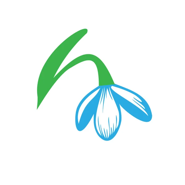 Fleur Chute Neige Avec Pétales Feuilles Croquis Coloré Dessiné Main — Image vectorielle
