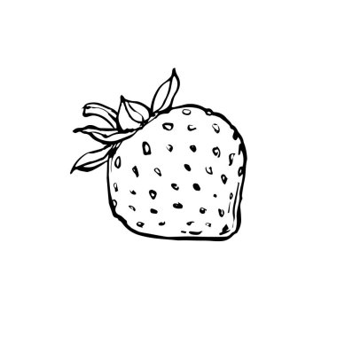 Çilekli, yapraklı, dutlu. Siyah beyaz çizgi çizimi. El çizimi mürekkep çizimi, hisse senedi vektör çizimi.