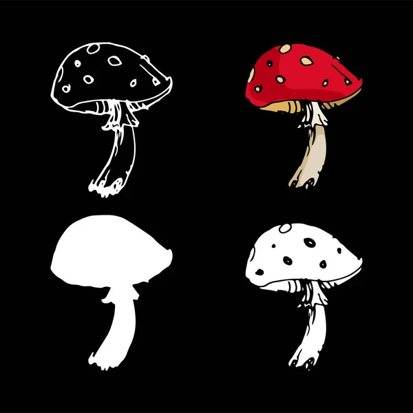 Svampgift Flugsvamp Amanita Handritad Bläck Vintage Illustration Svart Och Vitt — Stock vektor