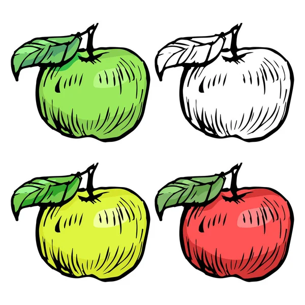Sbírka Jablek Zelené Žluté Červené Černé Bílé Obrysy Ručně Kreslená — Stockový vektor