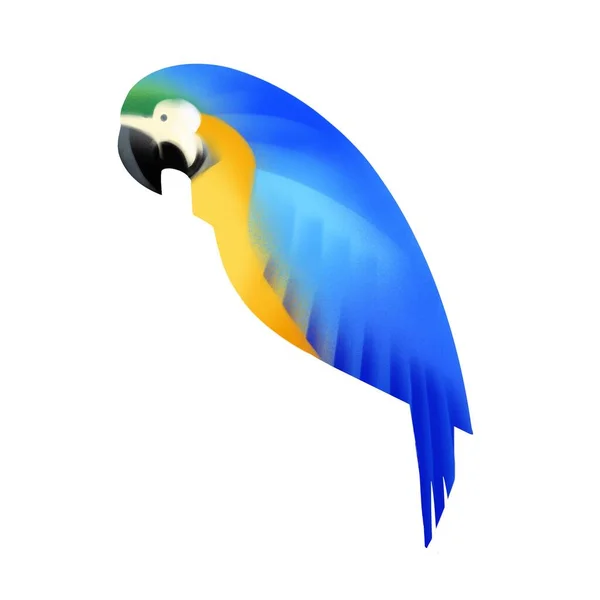 Mavi Papağan Çizimi Beyaz Arka Planda Izole Edilmiş Tropikal Egzotik — Stok fotoğraf