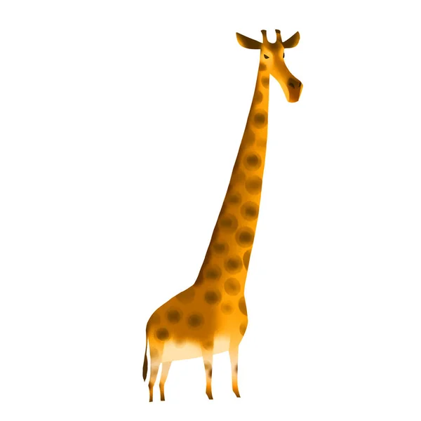 Cartoon Afrikaanse Giraffe Schets Gestileerde Kleurrijke Illustratie Van Dierentuin Dier — Stockfoto