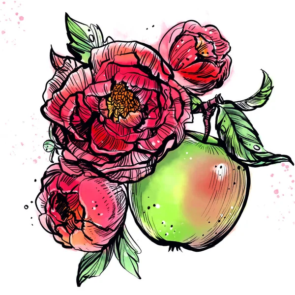 Червоні Квіти Зеленим Яблуком Акварельна Ілюстрація Білому Тлі — стокове фото