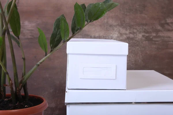 Box with documents and plant on the desk on isolated background