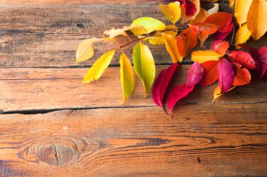 Güzel renkli yaprakları. Ahşap antika arka plan. Boşaltmak