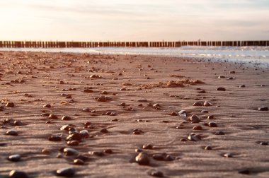 Baltık Denizi kıyısında