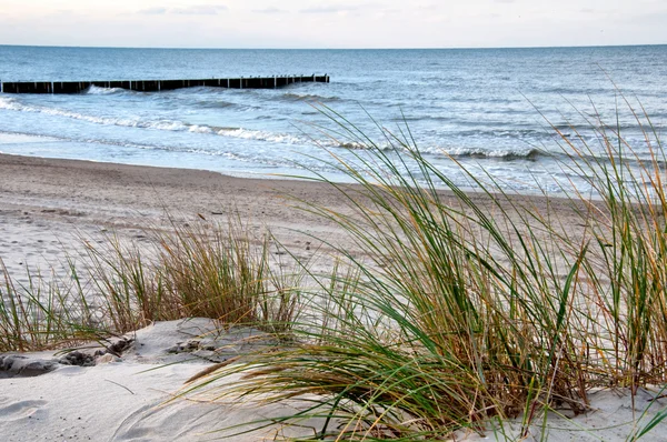 Wybrzeże Bałtyku — Zdjęcie stockowe