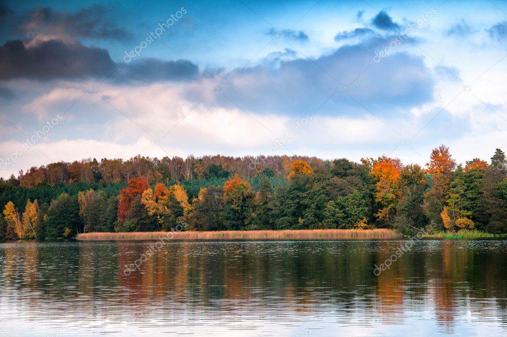 Beautiful forest and lake in autumn