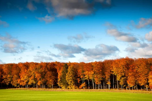 Hermoso paisaje otoñal en el campo —  Fotos de Stock