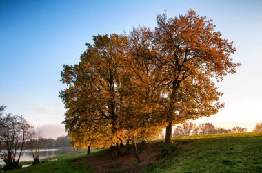 Sonbaharda kırsal alan