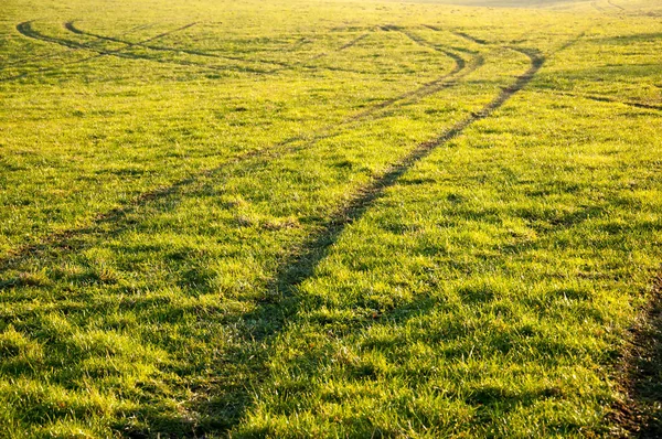 Tekerlek izleri yeşil çimenlerin üzerinde