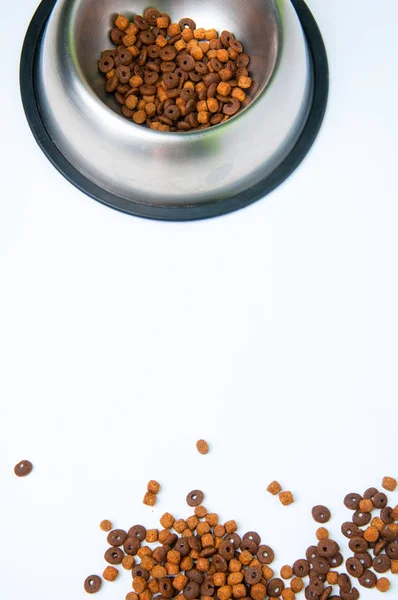 Comida para perros en tazón. Aislado. Espacio de copia — Foto de Stock