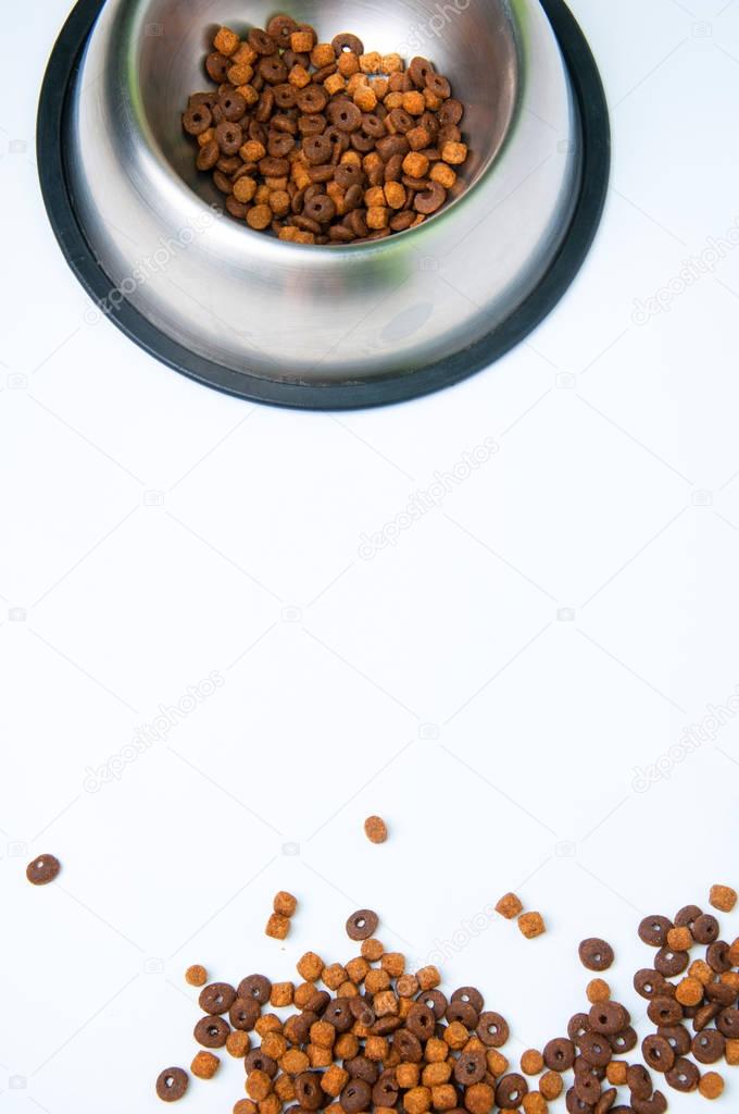 Dog food in bowl. Isolated. Copyspace