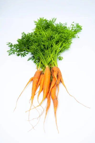 पांढरा पार्श्वभूमीवर वेगळे गाजर — स्टॉक फोटो, इमेज
