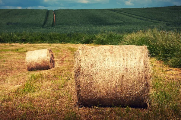 Prato estivo con balle dorate — Foto Stock