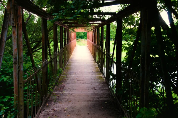 Мост виден изнутри — стоковое фото