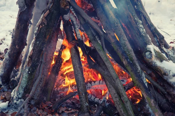 Campfire in winter time — Stock Photo, Image