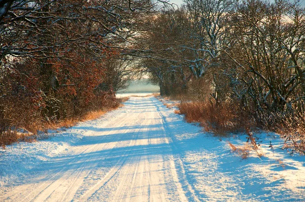 在冬天白雪覆盖的乡间小路上 — 图库照片