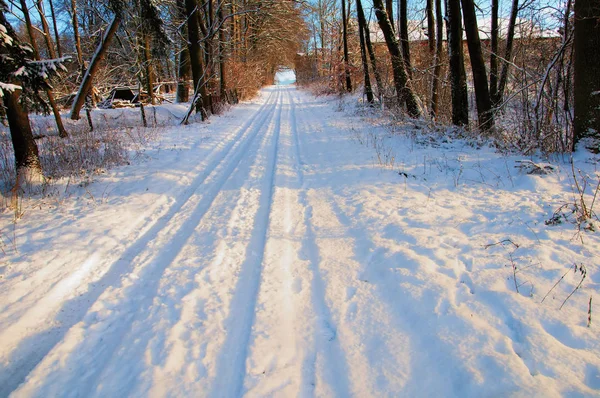 在冬天白雪覆盖的乡间小路上 — 图库照片