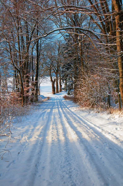 在冬天白雪覆盖的乡间小路上 — 图库照片
