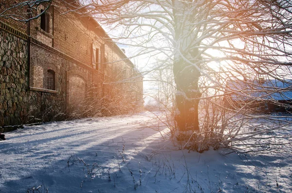 Invierno susnet en el campo — Foto de Stock