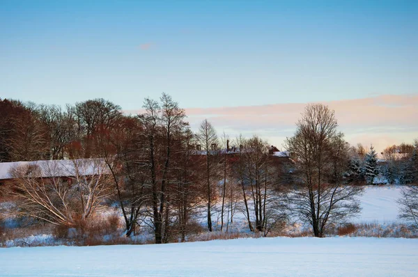 Paisaje invernal en el campo — Foto de Stock