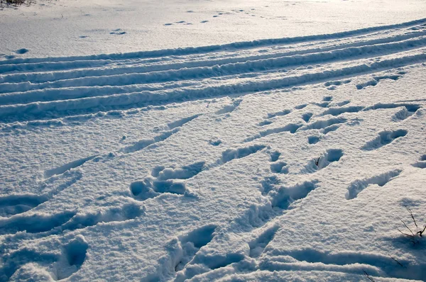 겨울에는 눈에 발자국 — 스톡 사진