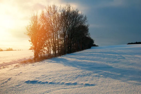 Paisaje invernal en el campo — Foto de Stock