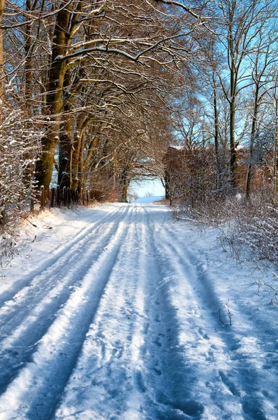 在冬天白雪覆盖的乡间小路上 — 图库照片