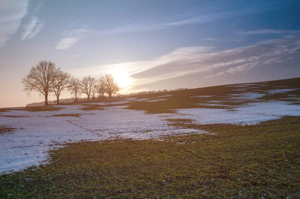 Prado nevado en el día soleado — Foto de Stock
