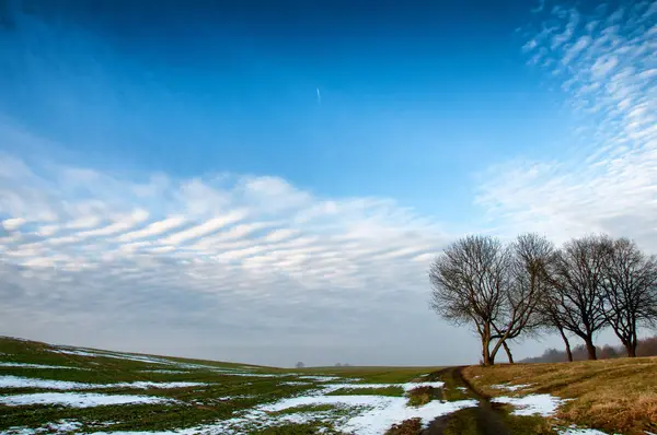 Alan karla kaplı güneşli kış gününde