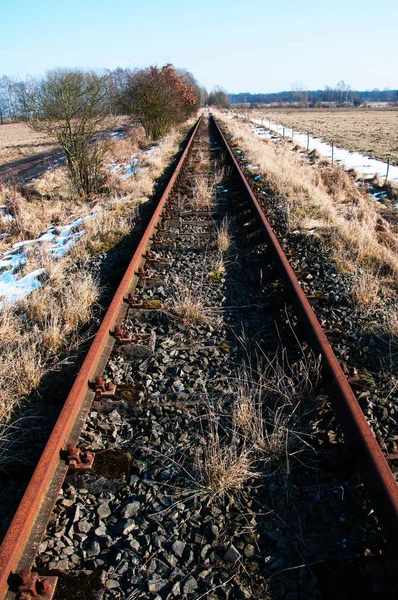 관점에서 철도 트랙 초상화 — 스톡 사진