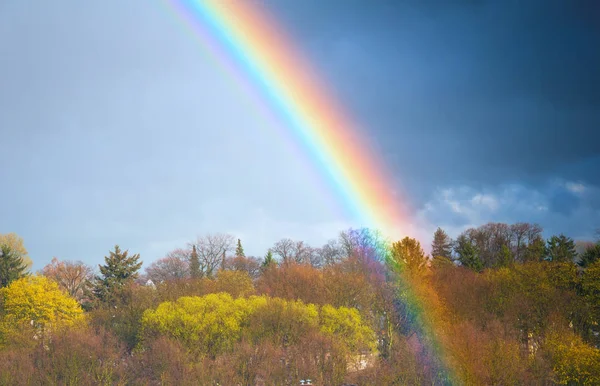 Rainbow over the forest in autumn