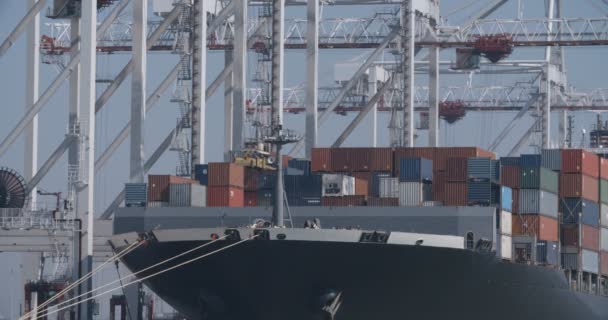 Konténerszállító hajó Southampton dokkok - 02 — Stock videók