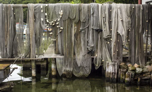 bir açılış sahnede gri file çorap