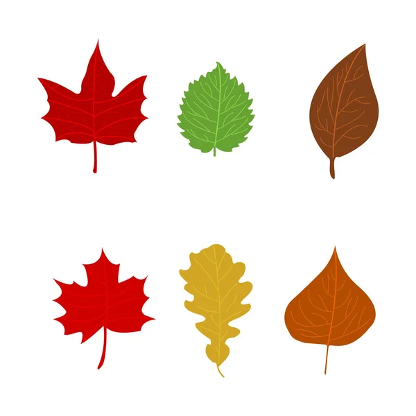 Signo de estilo plano de dibujos animados simples. Color hojas de otoño sobre fondo blanco. Ilustración vectorial — Archivo Imágenes Vectoriales