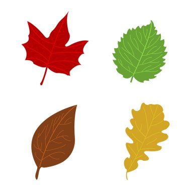 Cartoon flat autumn leaves on white background. Vector illustration. clipart