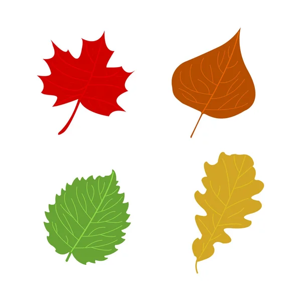 Dessin animé plat feuilles d'automne sur fond blanc. Illustration vectorielle . — Image vectorielle