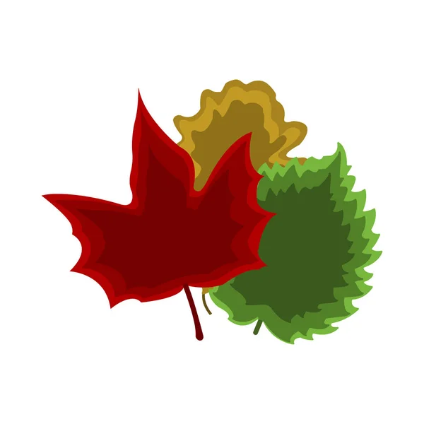Uppsättning av leaf-ikonen. Tecknad stil. Färgglada vektorillustration — Stock vektor