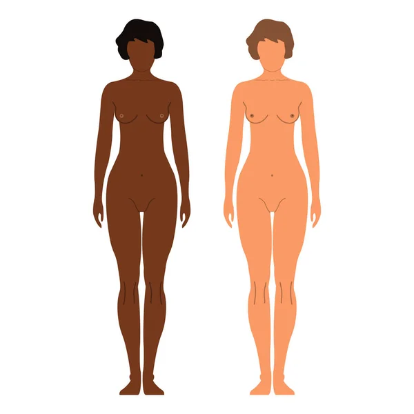 Afrikaanse en Europese vrouwen. Menselijke voorzijde silhouet. Geïsoleerd op een witte achtergrond. Vectorillustratie — Stockvector