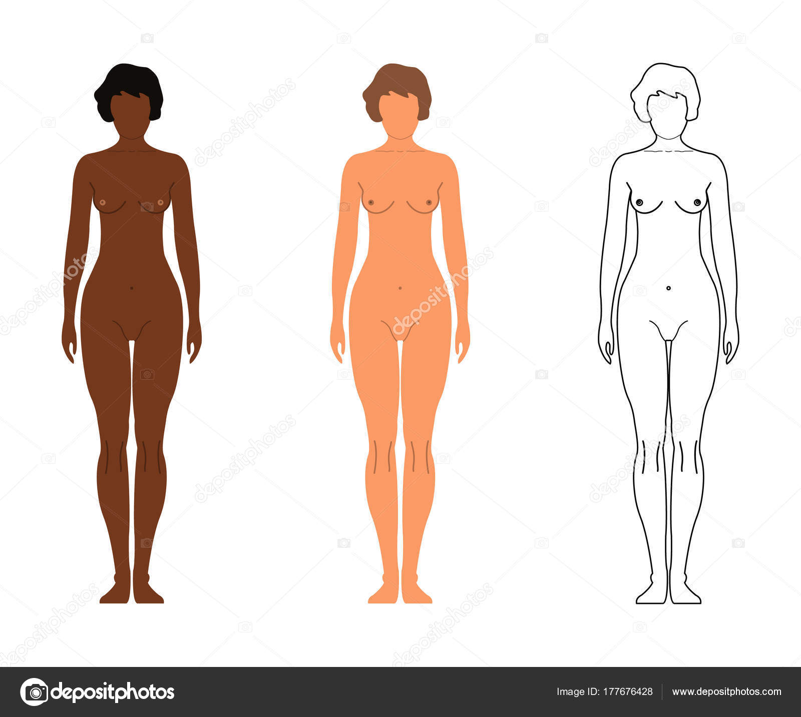 African and European Women. Cartoon, Outline style. Human front side Silhouette. Isolated on White Background. Vector illustration Stock Vector Image by ©apvaper #177676428 African and European Women. Cartoon, Outline style. Human front side Silhouette. Isolated on White Background. Vector illustration Stock Vector Image by ©apvaper #177676428